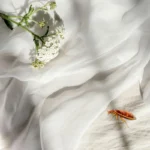 ágyi poloska irtás 16. kerület