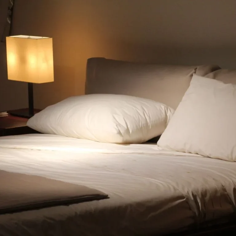 ágyi poloskairtás 5. kerület