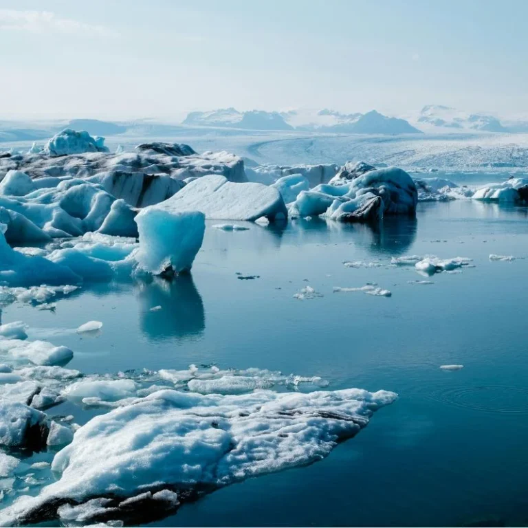 rovarirtás okai a 13. kerületben