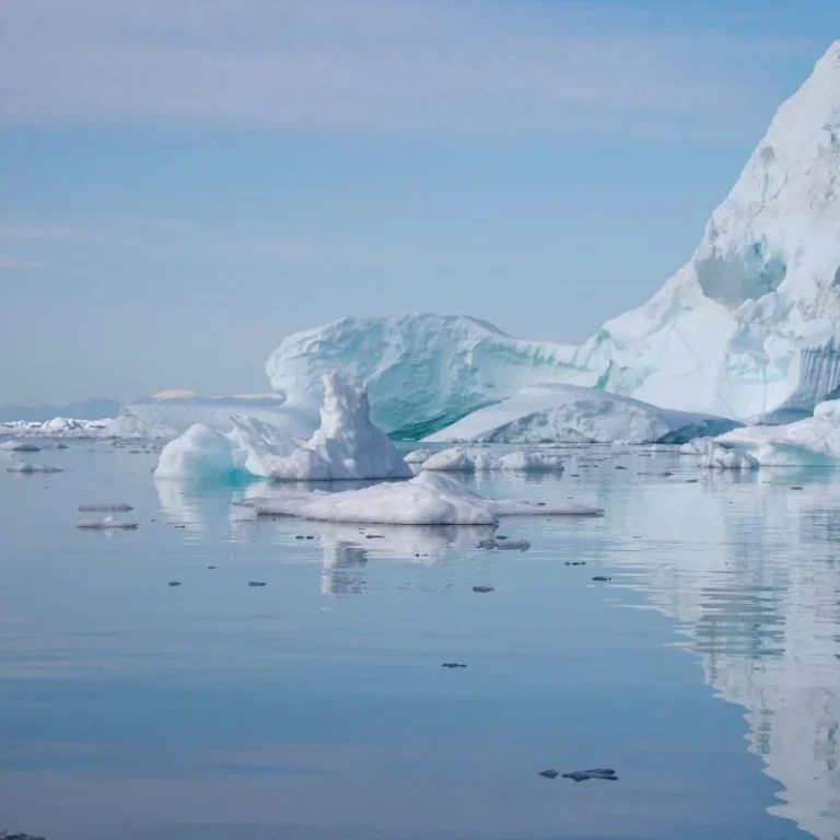 rovarirtás okai 7. kerület