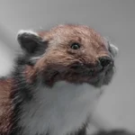 nyestriasztás 10. kerület