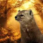 Nyestriasztás Százhalombatta