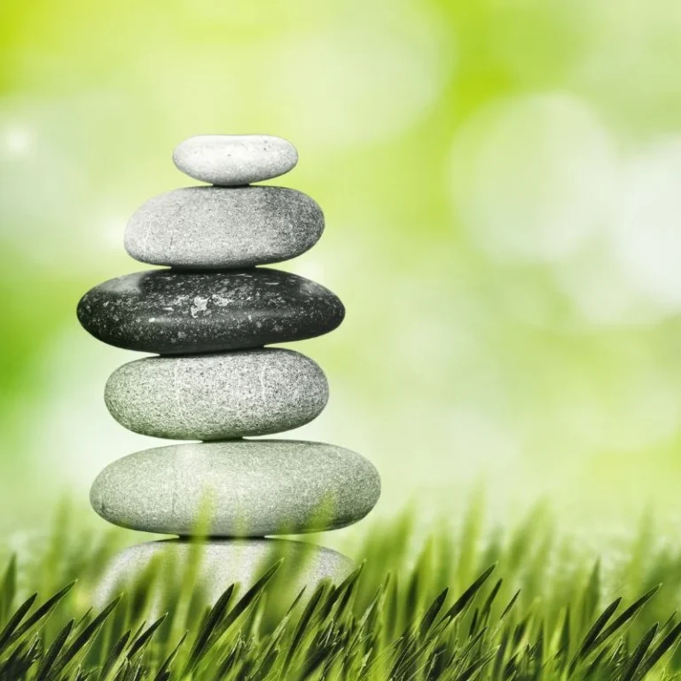 csótányirtás szükségessége - 8. kerület