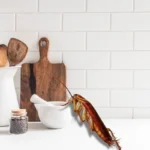 csótányirtás a 8. kerületben